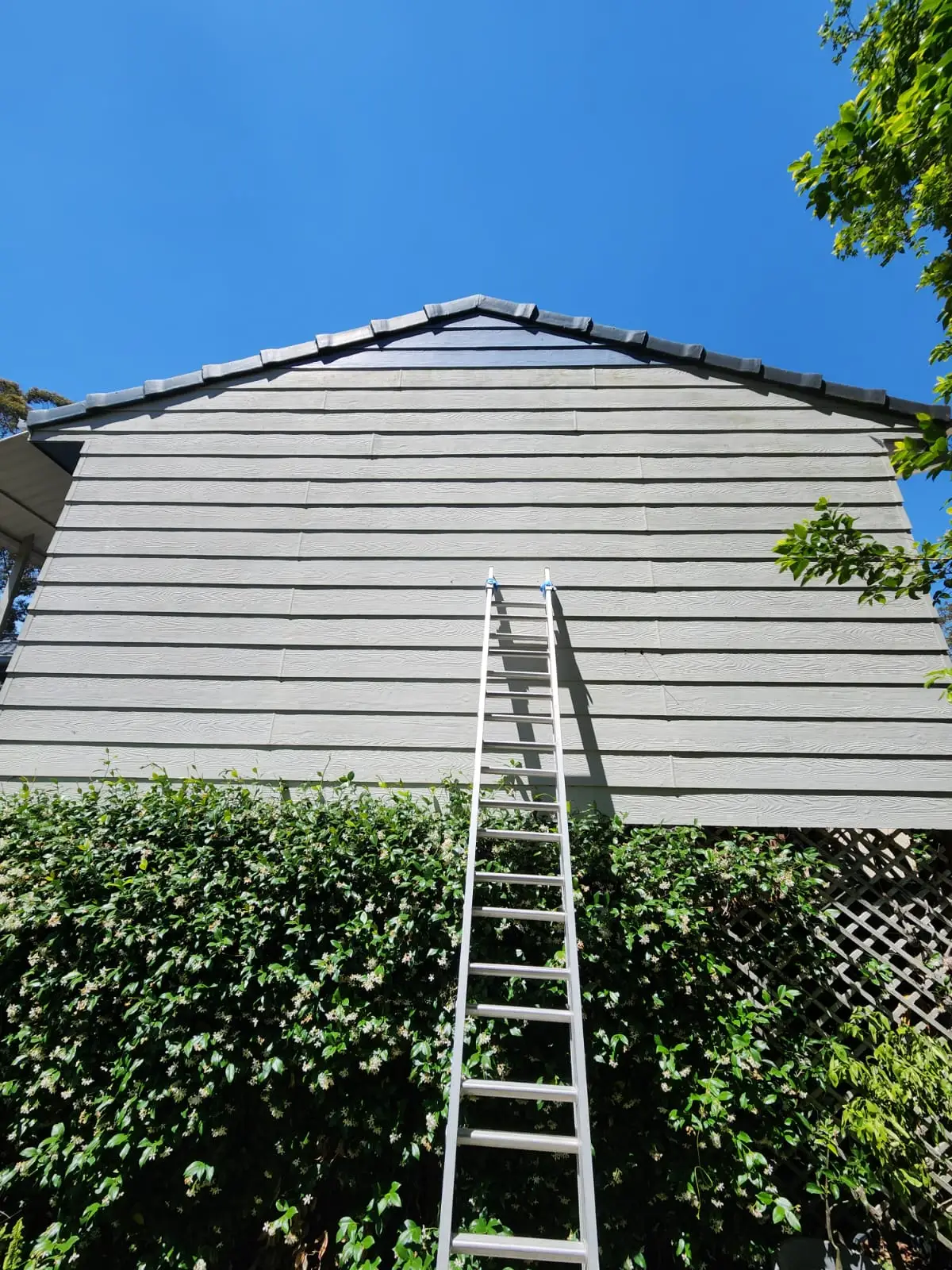Painter working from a ladder during exterior preparation on a Newcastle home